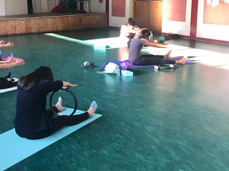 Pilates Plus Wellness Ltd — reformer pilates studio in Streatham, London