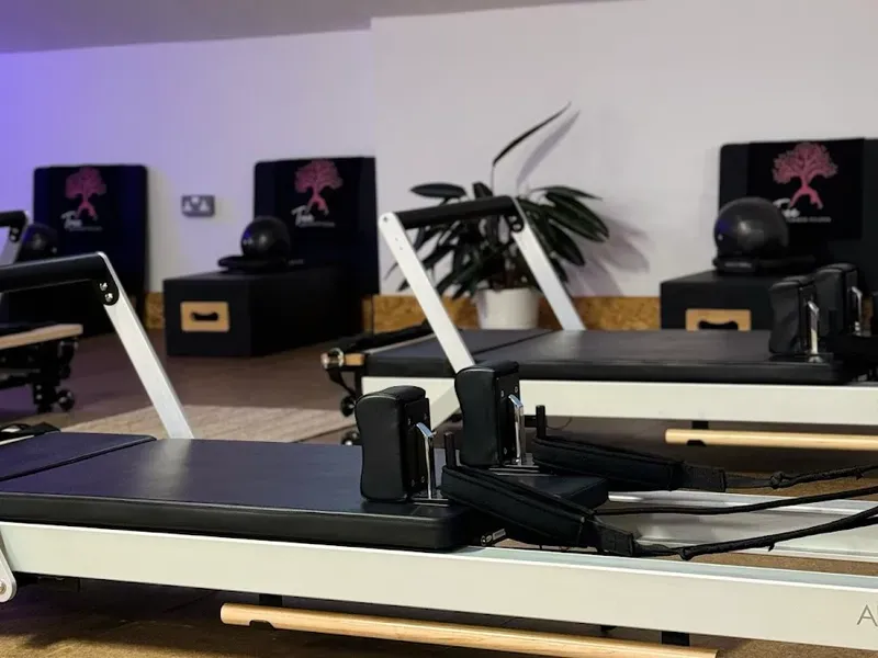 Tree Pilates Studio — reformer pilates studio in Kelham Island, Sheffield