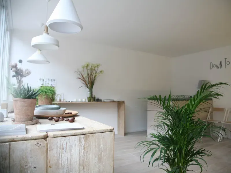 Down To Earth Yoga, Pilates & Massage — reformer pilates studio in Tufnell Park, London