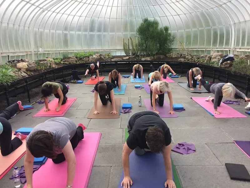 Pilates Glasgow — reformer pilates studio in Dennistoun, Glasgow