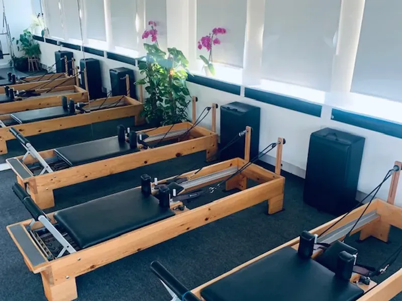 Muswell Hill Pilates — reformer pilates studio in Stroud Green, London